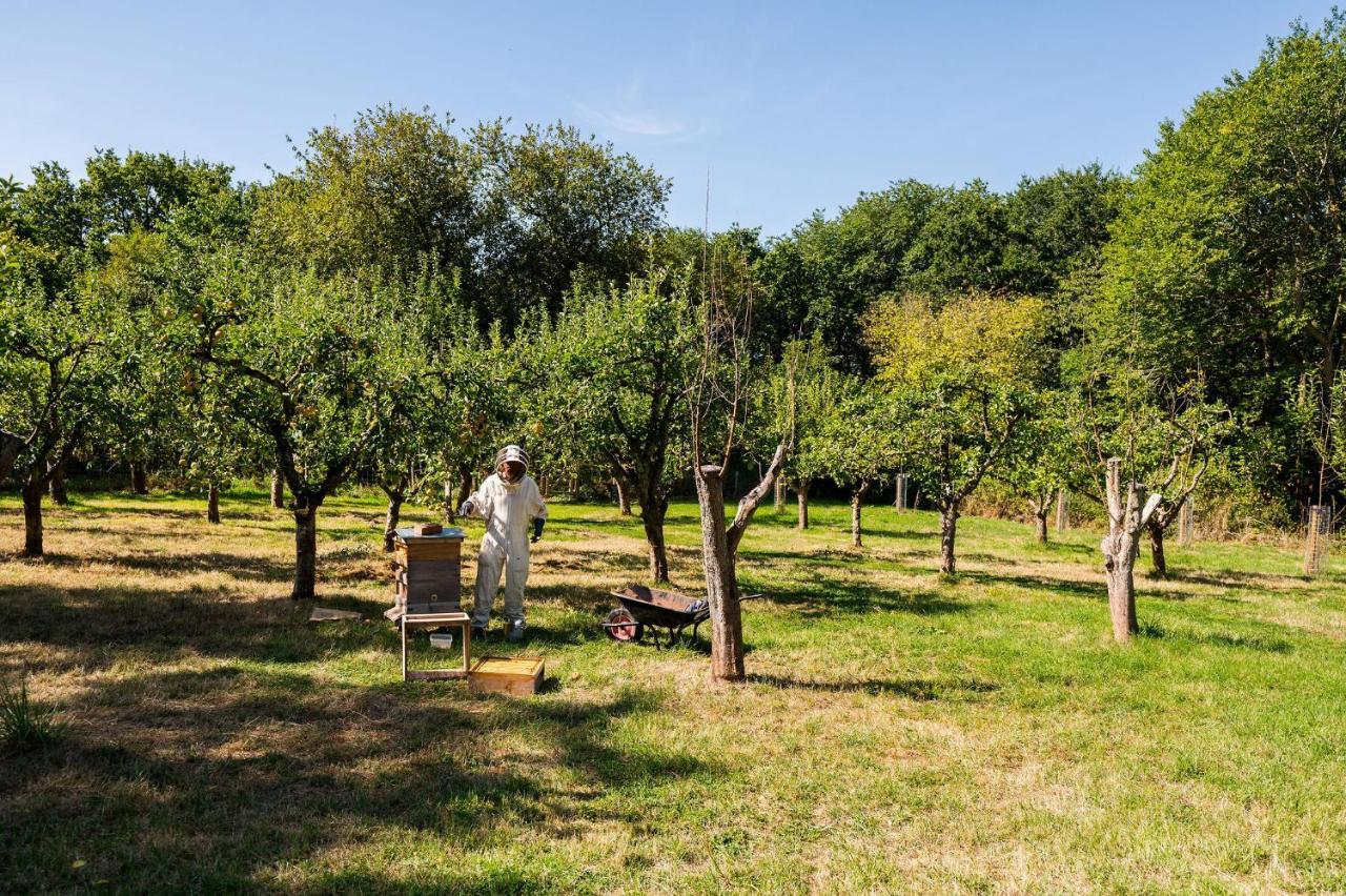אלמונדסברי Berwick Lodge מראה חיצוני תמונה